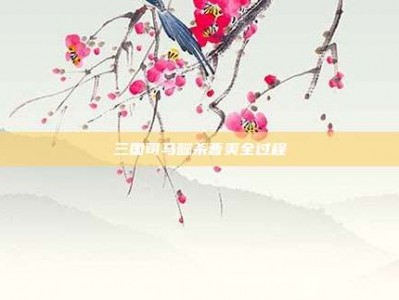 三国司马懿杀曹爽全过程