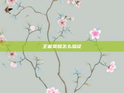 王者荣耀怎么验证