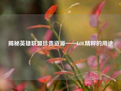 揭秘英雄联盟珍贵资源——LOL精粹的用途