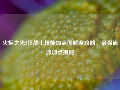 火炬之光2狂战士技能加点图解全攻略，最强流派加点揭秘