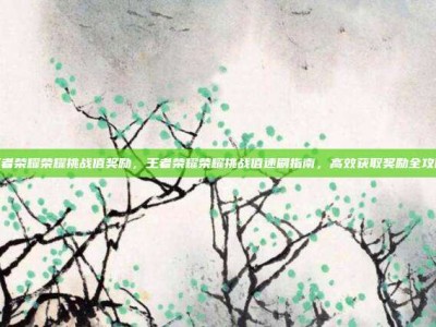 王者荣耀荣耀挑战值奖励，王者荣耀荣耀挑战值速刷指南，高效获取奖励全攻略