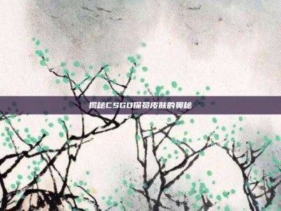 揭秘CSGO探员皮肤的奥秘