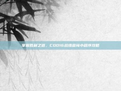 掌握胜利之道，COD16战绩查询小程序攻略