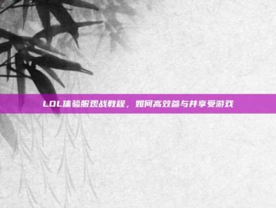 LOL体验服观战教程，如何高效参与并享受游戏
