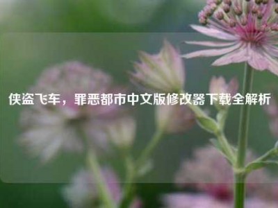 侠盗飞车，罪恶都市中文版修改器下载全解析