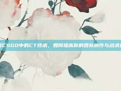 掌握CSGO中的CT技术，如何提高你的团队协作与战术执行
