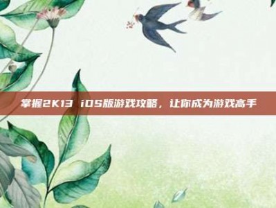 掌握2K13 iOS版游戏攻略，让你成为游戏高手