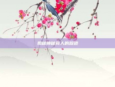 揭秘神秘商人的踪迹