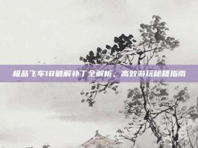 极品飞车18破解补丁全解析，高效游玩秘籍指南
