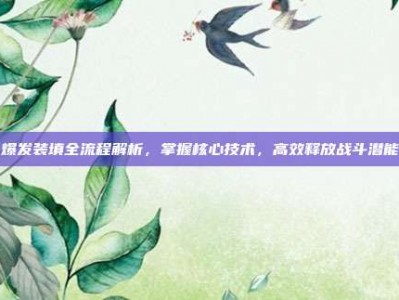 爆发装填全流程解析，掌握核心技术，高效释放战斗潜能