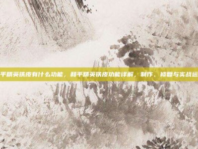 和平精英铁皮有什么功能，和平精英铁皮功能详解，制作、修复与实战运用