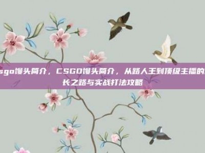 csgo馒头简介，CSGO馒头简介，从路人王到顶级主播的成长之路与实战打法攻略