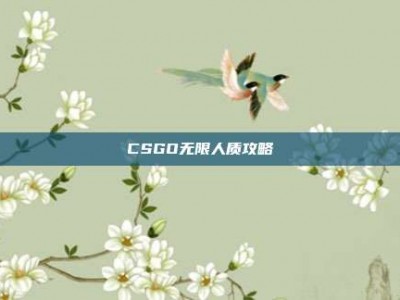 CSGO无限人质攻略