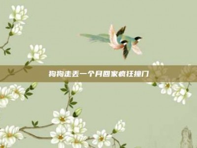 狗狗走丢一个月回家疯狂撞门