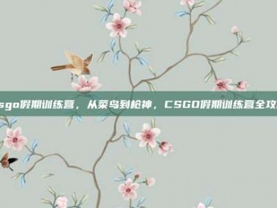 csgo假期训练营，从菜鸟到枪神，CSGO假期训练营全攻略
