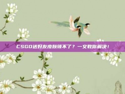 CSGO送好友皮肤领不了？一文教你解决！