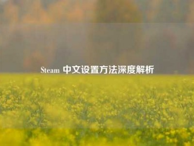 Steam 中文设置方法深度解析
