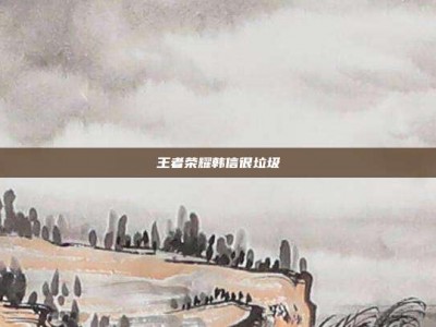 王者荣耀韩信很垃圾