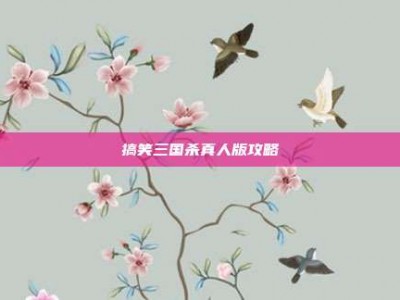 搞笑三国杀真人版攻略
