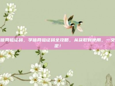 学信网验证码，学信网验证码全攻略，从获取到使用，一文搞定！