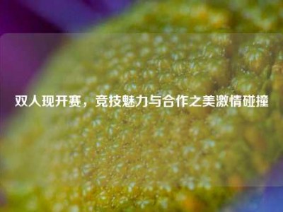 双人现开赛，竞技魅力与合作之美激情碰撞