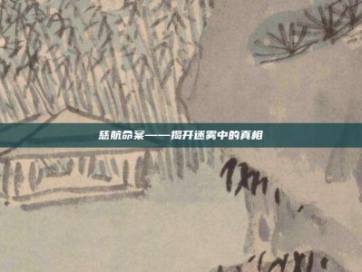 慈航命案——揭开迷雾中的真相