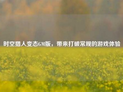 时空猎人变态GM版，带来打破常规的游戏体验