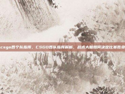 csgo各个队指挥，CSGO各队指挥解析，战术大脑如何决定比赛胜负