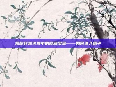 揭秘穿越火线中的隐藏宝藏——如何进入箱子