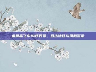 求极品飞车14序列号，合法途径与风险警示