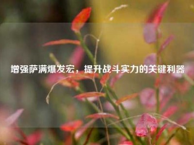 增强萨满爆发宏，提升战斗实力的关键利器