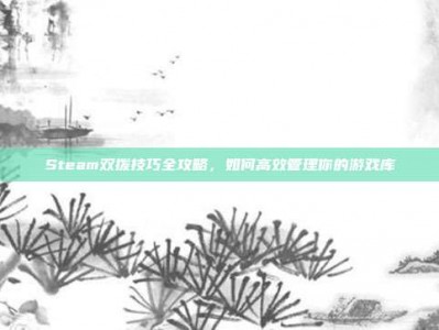 Steam双拨技巧全攻略，如何高效管理你的游戏库