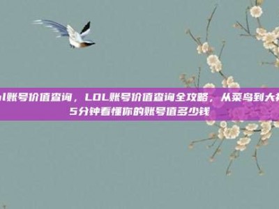 lol账号价值查询，LOL账号价值查询全攻略，从菜鸟到大神，5分钟看懂你的账号值多少钱