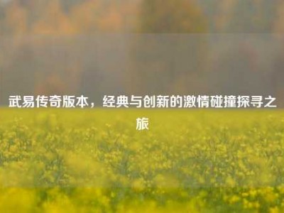 武易传奇版本，经典与创新的激情碰撞探寻之旅