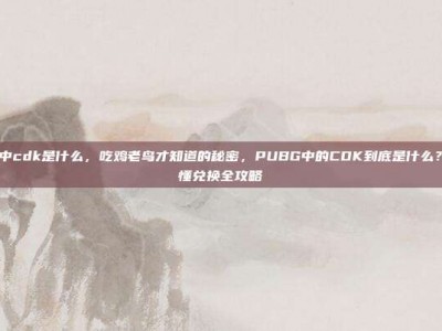 pubg 中cdk是什么，吃鸡老鸟才知道的秘密，PUBG中的CDK到底是什么？一篇搞懂兑换全攻略