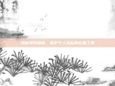 揭秘搜同加密，保护个人隐私的必备工具