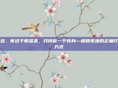 夜这，夜这千般温柔，只待你一个转身—解锁夜晚的正确打开方式