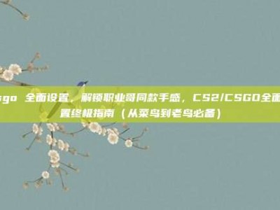 csgo 全面设置，解锁职业哥同款手感，CS2/CSGO全面设置终极指南（从菜鸟到老鸟必备）