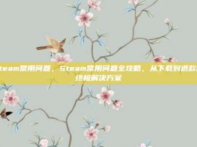 steam常用问题，Steam常用问题全攻略，从下载到退款的终极解决方案