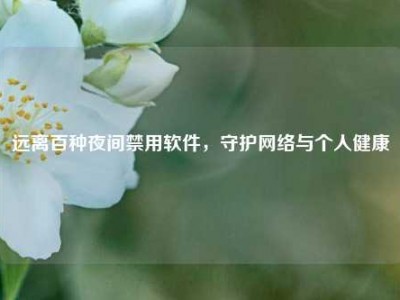 远离百种夜间禁用软件，守护网络与个人健康