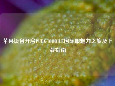 苹果设备开启PUBG MOBILE国际服魅力之旅及下载指南