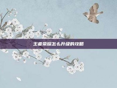 王者荣耀怎么升级的攻略