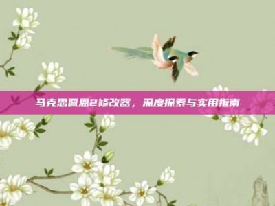 马克思佩恩2修改器，深度探索与实用指南