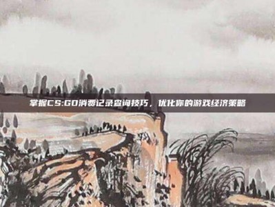 掌握CS:GO消费记录查询技巧，优化你的游戏经济策略