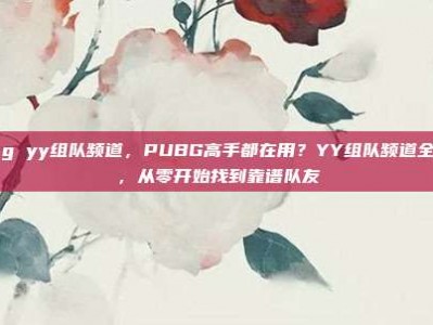 pubg yy组队频道，PUBG高手都在用？YY组队频道全攻略，从零开始找到靠谱队友