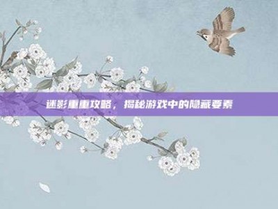 迷影重重攻略，揭秘游戏中的隐藏要素