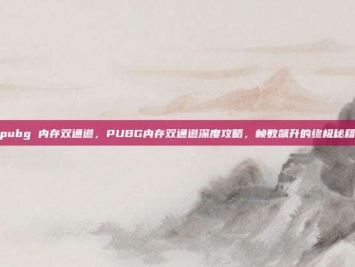pubg 内存双通道，PUBG内存双通道深度攻略，帧数飙升的终极秘籍
