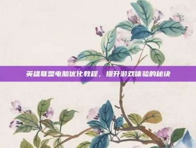 英雄联盟电脑优化教程，提升游戏体验的秘诀