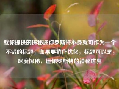 就你提供的探秘迷你罗斯特本身就可作为一个不错的标题，如果要稍作优化，标题可以是，深度探秘，迷你罗斯特的神秘世界