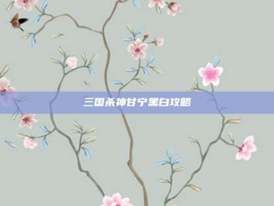 三国杀神甘宁黑白攻略
